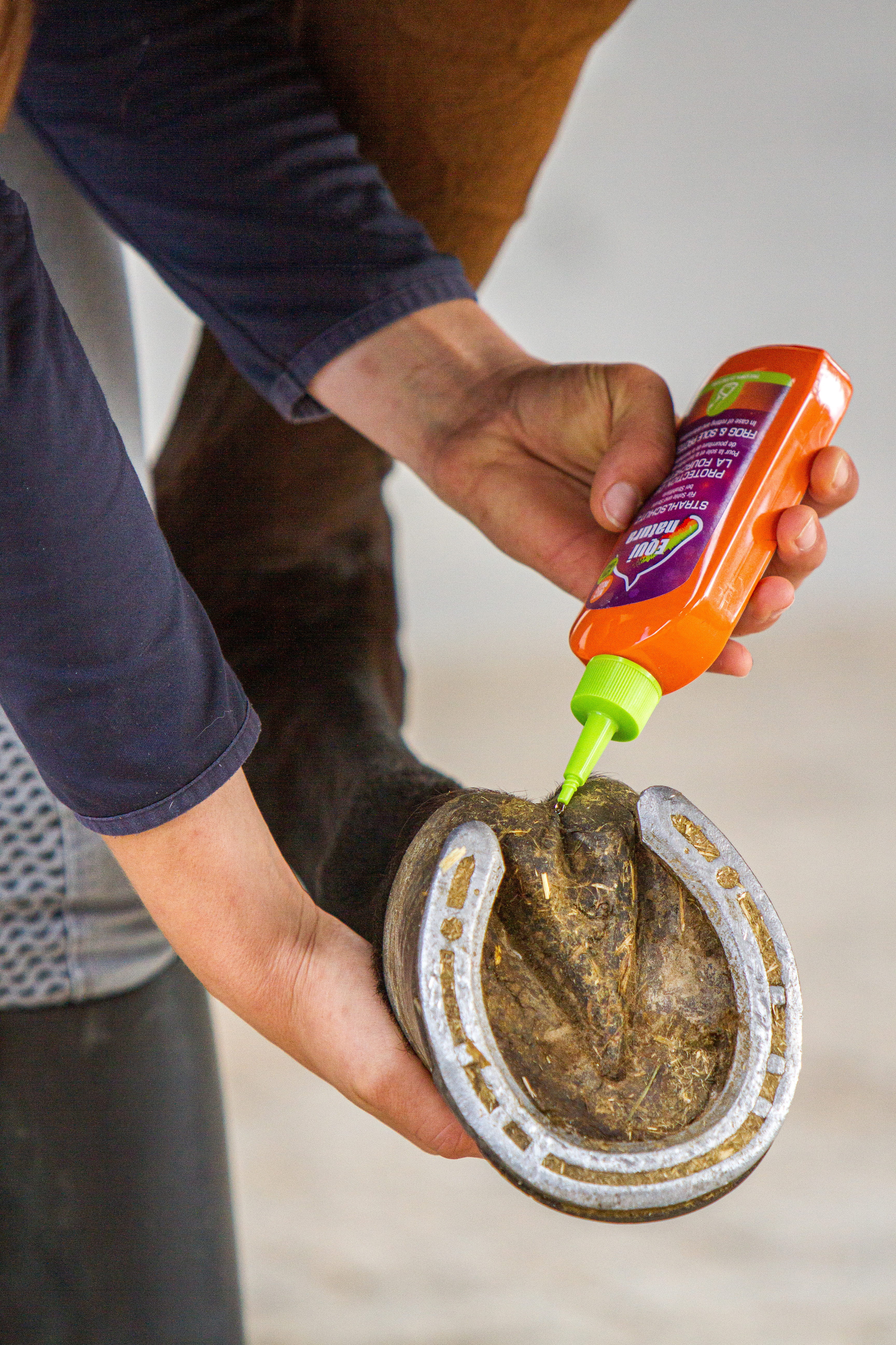 Equinatura Strahlschutz