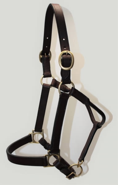 EE Lederhalfter soft Oiled