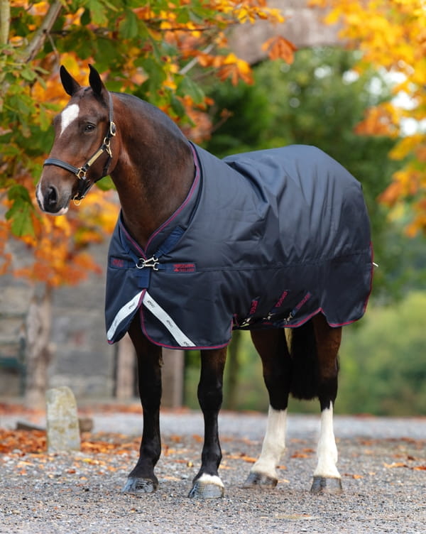 Amigo Bravo 12 XL Lite 0G