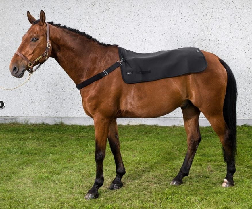 Back on Track Brustgurt für Pferde Rückenwärmer