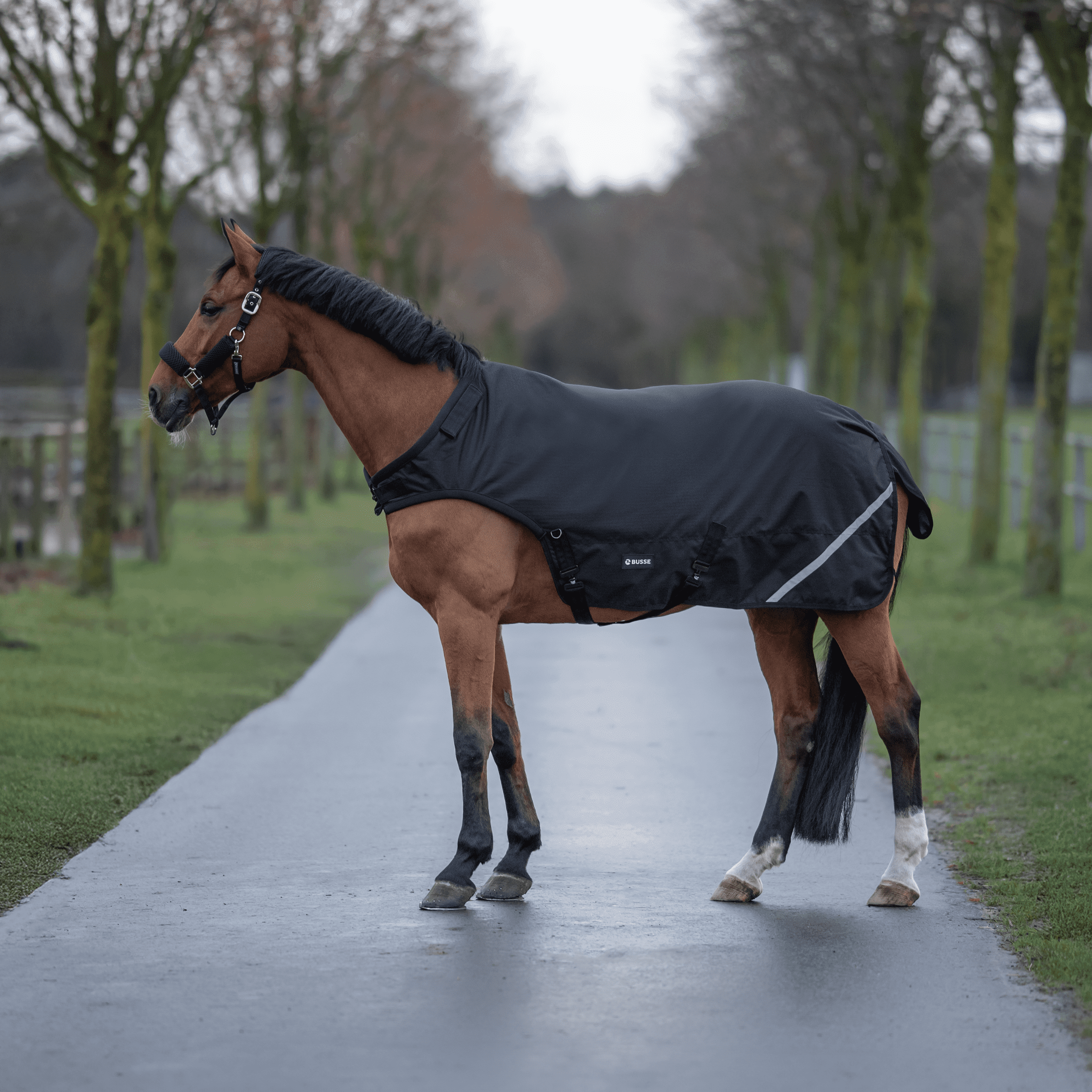 Bewegungsdecke RAIN HL 100