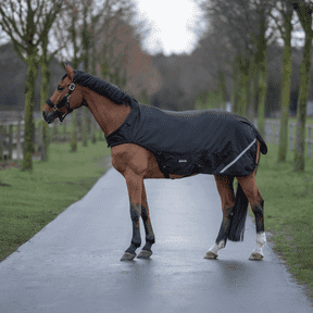 Ausreitdecken & Führanlagendecken