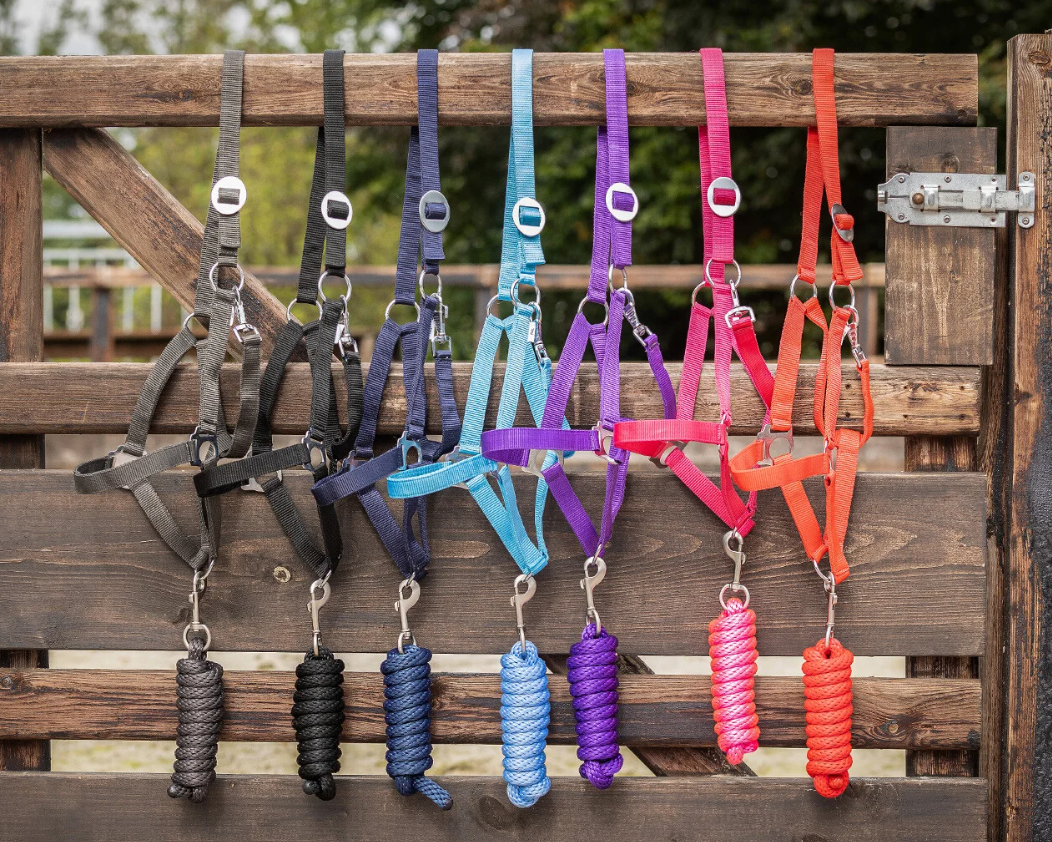 Basic Halfter Color Slide