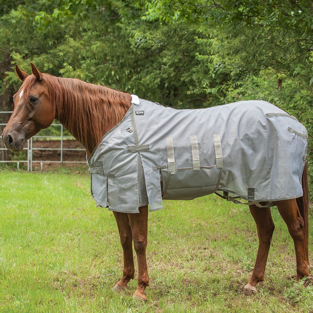 Cashel Fliegendecke Crusader Lightweight