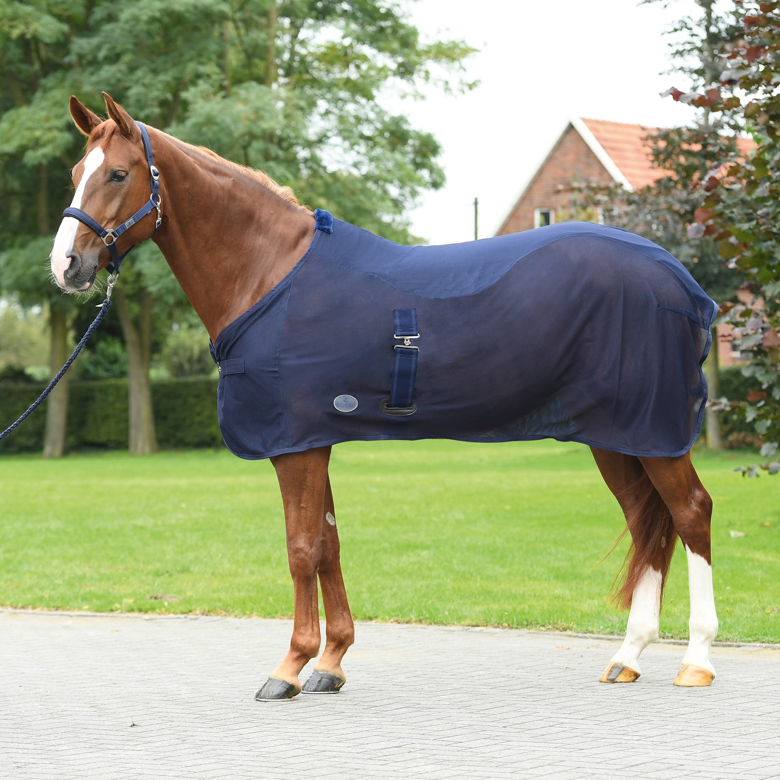 Abschwitzdecke Summer Fly II