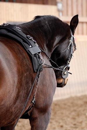 Longiergurt Profi-Soft