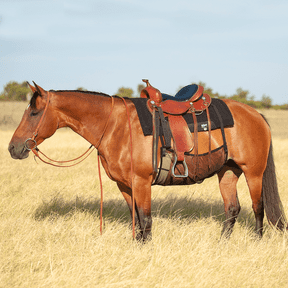 Fliegenausreitdecken