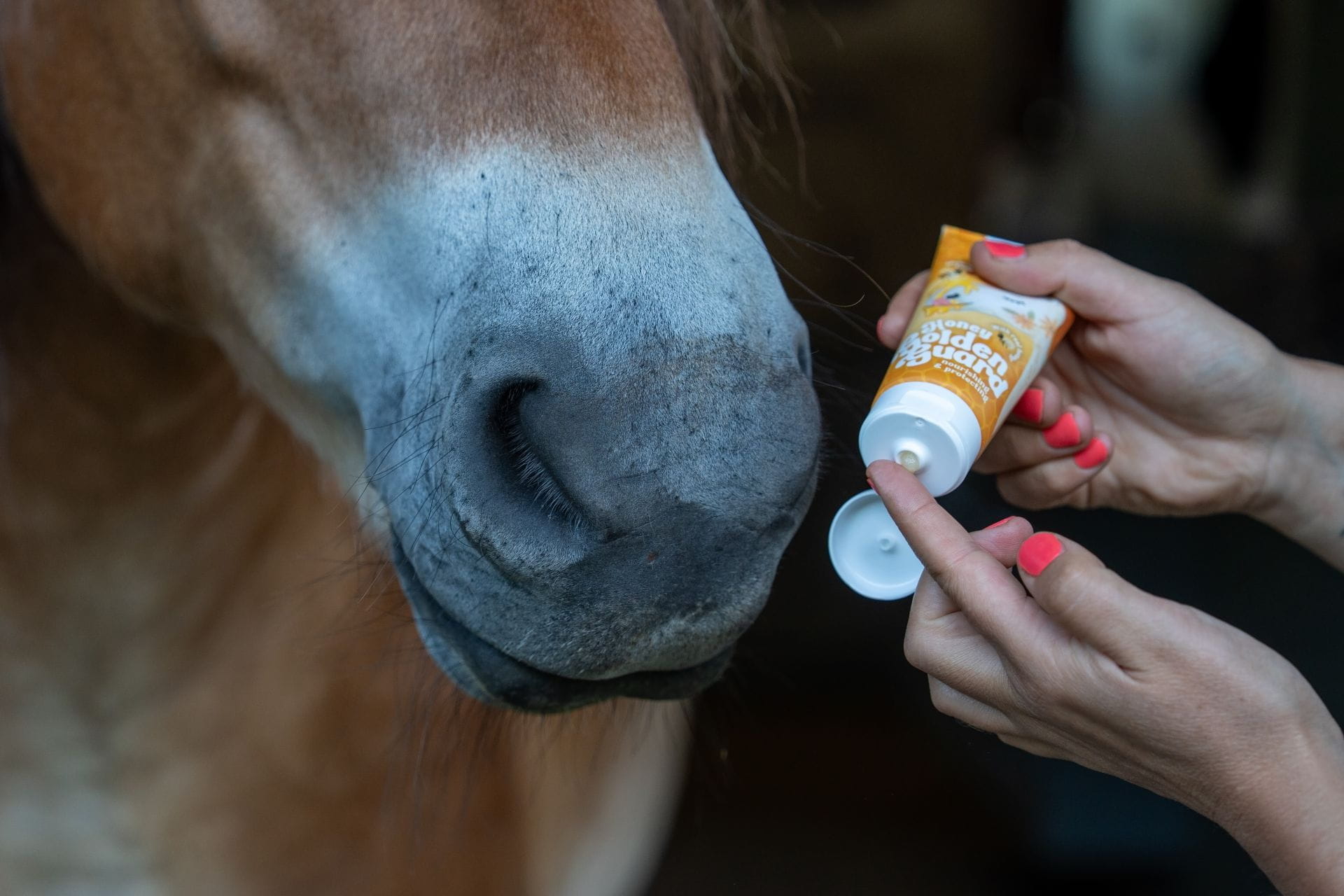 Lilla Livet Honey Golden Guard 100ml