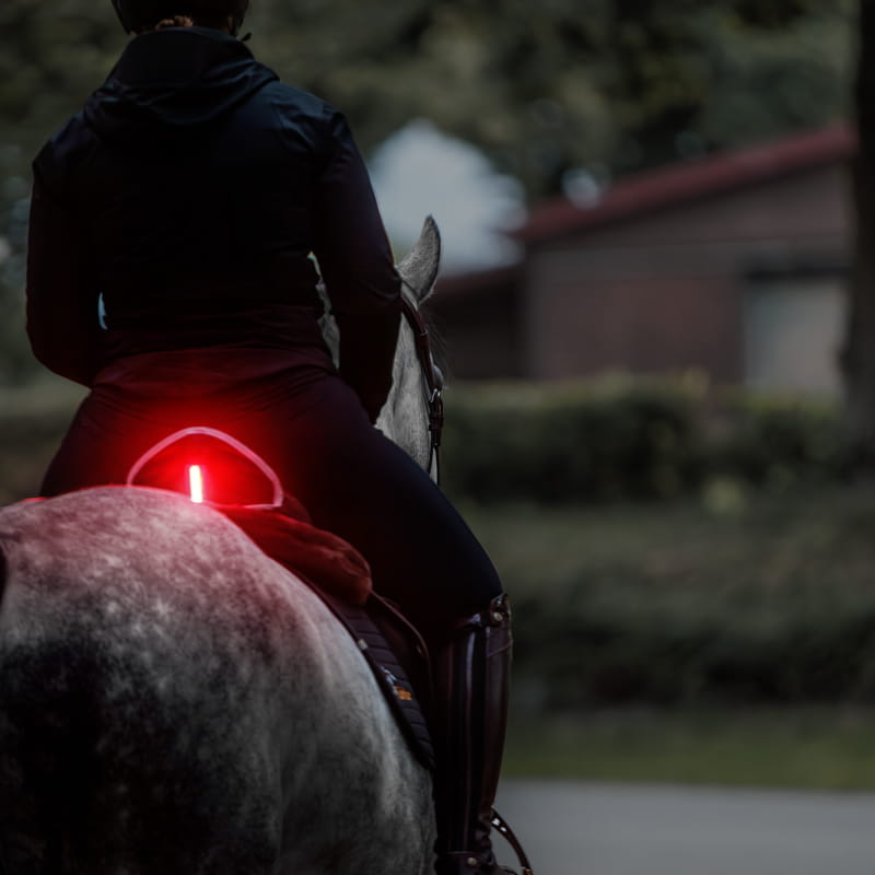 Sattelhusse Horselight - rote Leuchte