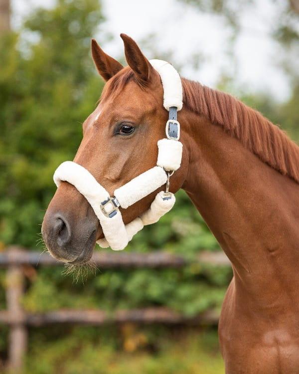 Kuschelhalfter Alaska Kunstfell