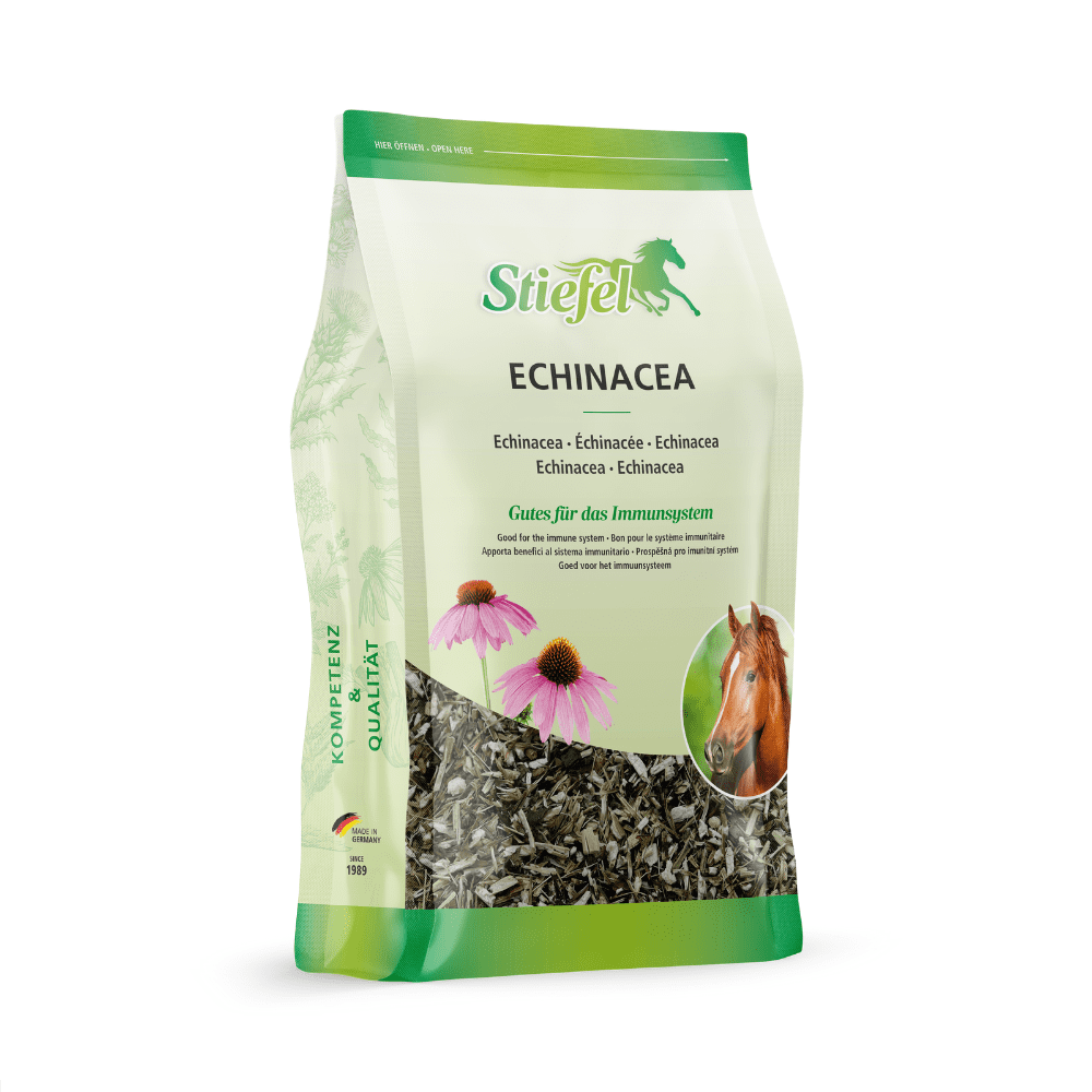 Stiefel Echinacea, geschnitten 500g