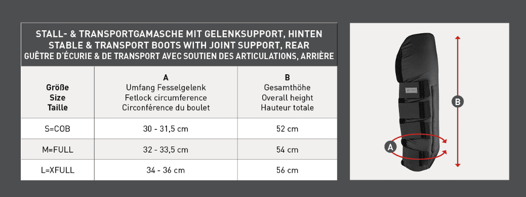 Stall- und Transportgamasche mit Gelenksupport, hinten