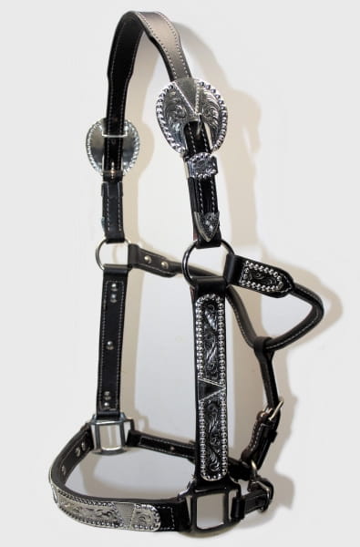 Showhalter EE Cob Silver dunkelbraun