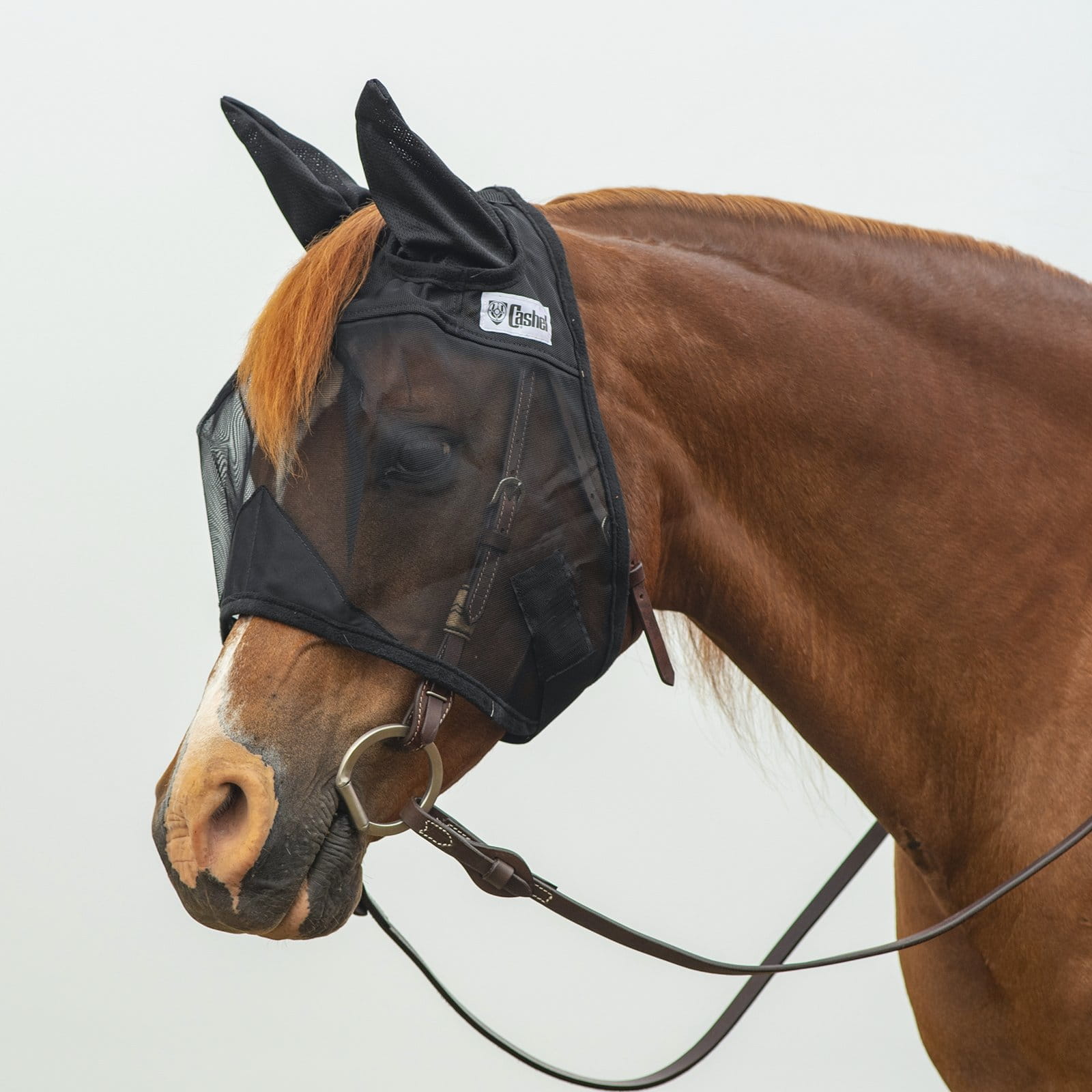 Crusader Cashel Quiet Ride Fly Mask mit Ohren