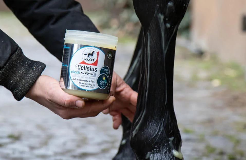 Leovet Cellsius Gel 600ml