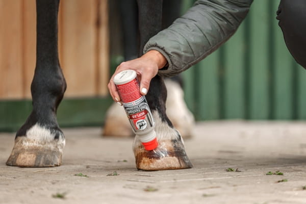 Leovet Huflab Huf Festiger 200ml