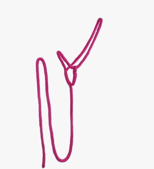 Lead Rope Halfter Rainbow