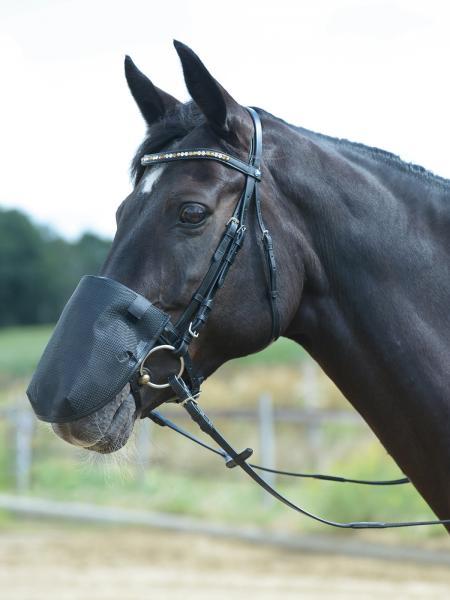 Nüsternschutz Fly Professional