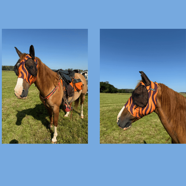 Pro-Tech Lycra Anti-Fly Mask with Ears Colorfull
