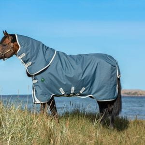 AmECO Amigo12 Plus Turnout lite 0G