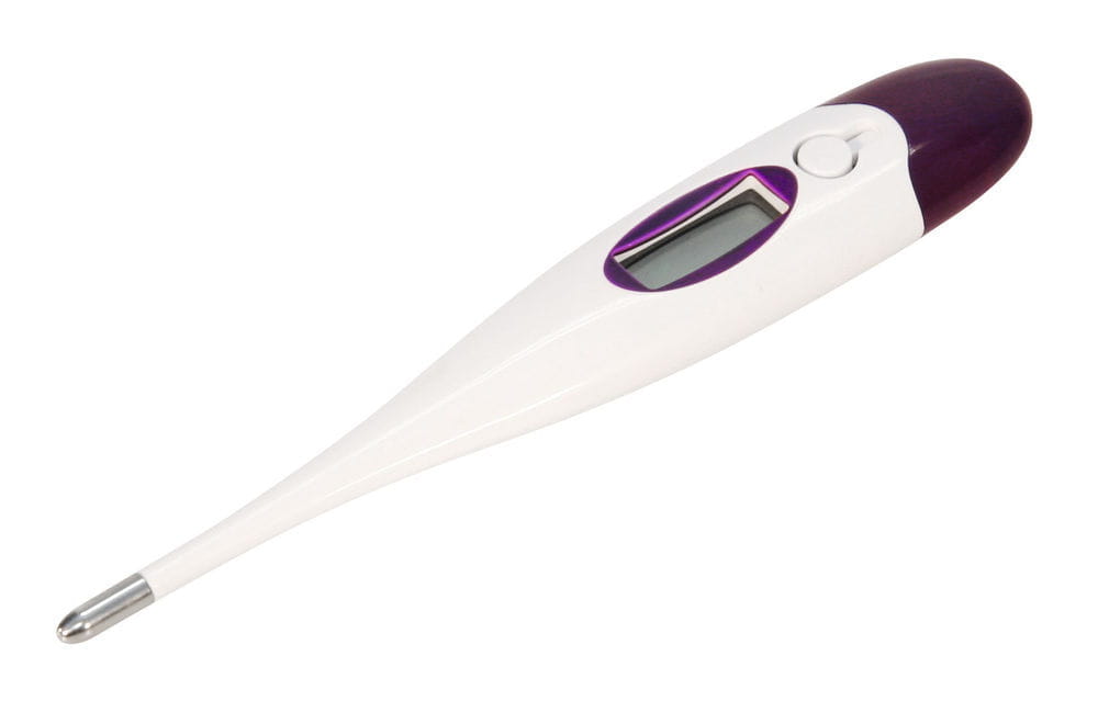 Kerbl Digital Thermometer