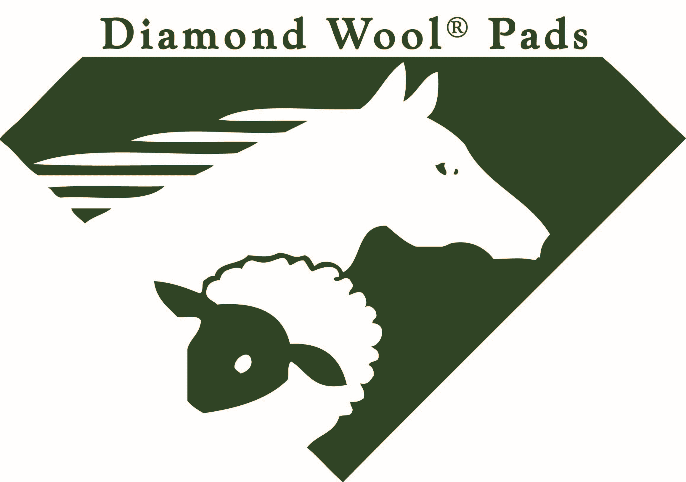 Diamond Wool Pads