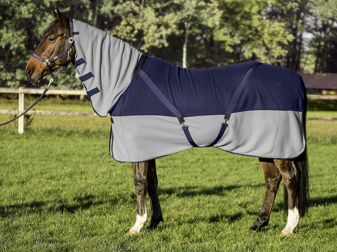 Abschwitzdecke Cross Comfort Plus