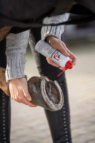 Leovet Strahlserum Spray