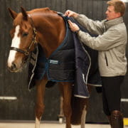 Horseware Liner 100G