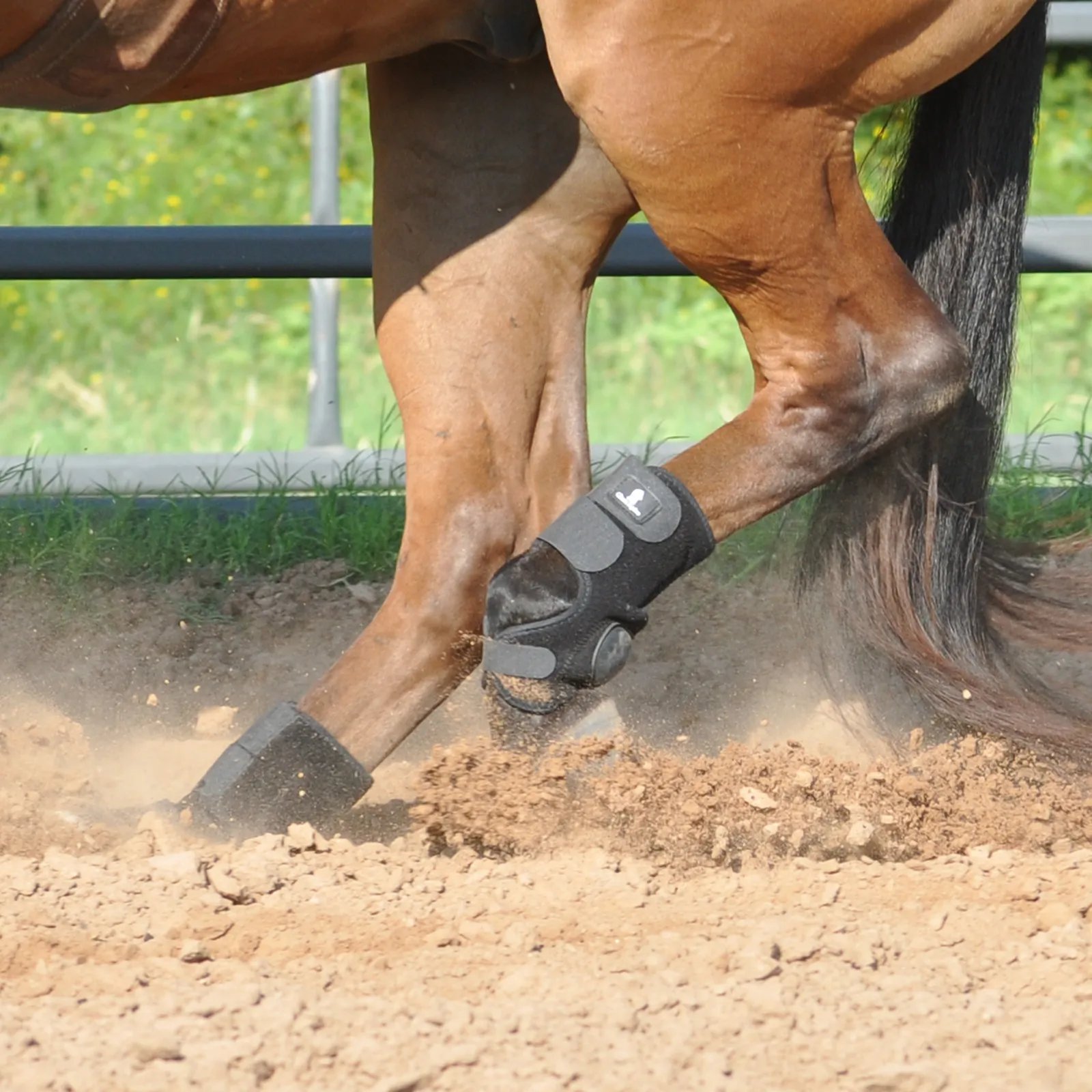 Classic Equine Neopren Skid Boots