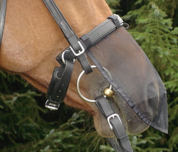 Crusader CashelQuiet Ride Nose Net