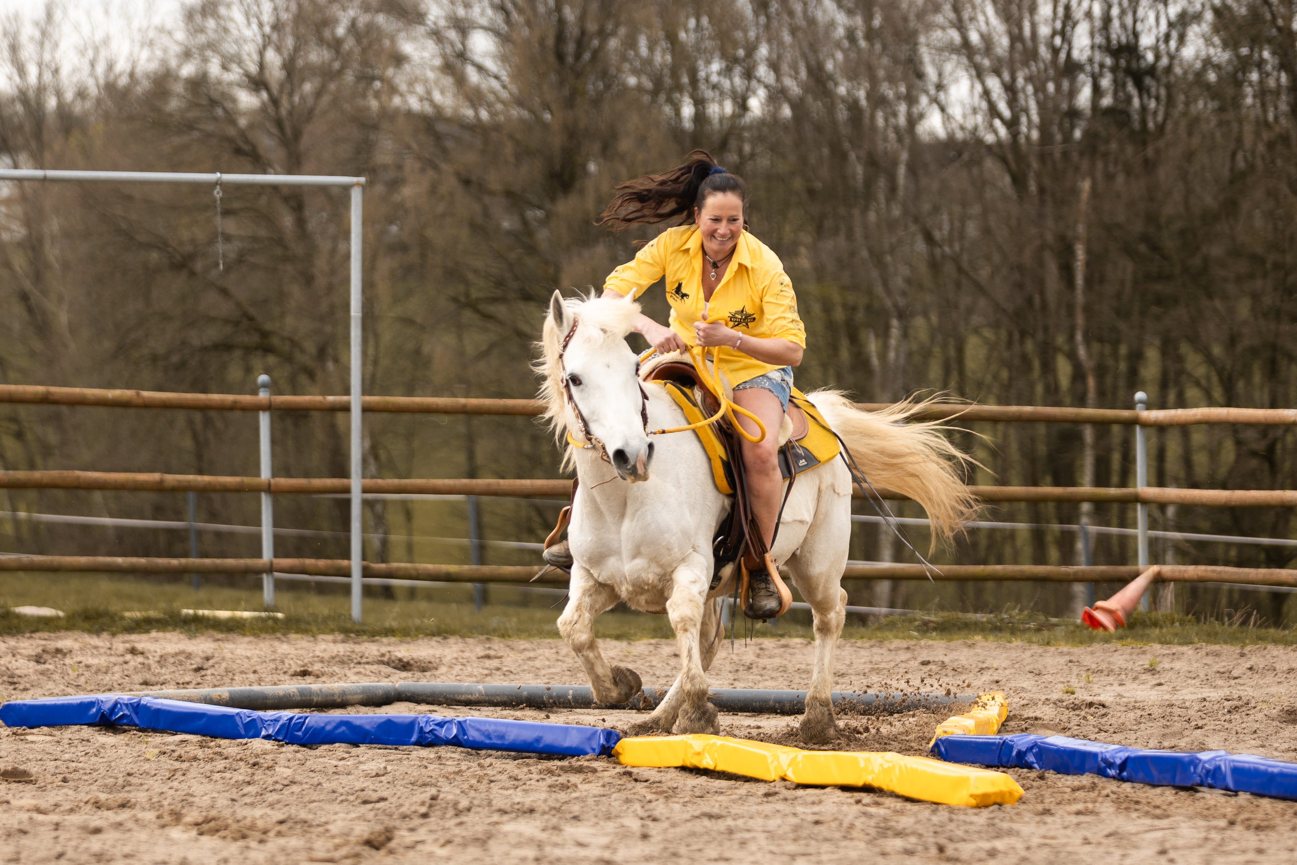 Bodenarbeitsstangen Soft -  Dualgassen Style