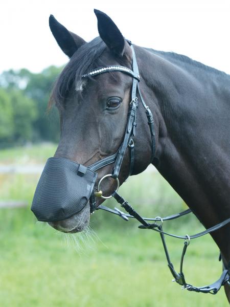 Nüsternschutz Fly Professional Anatomic