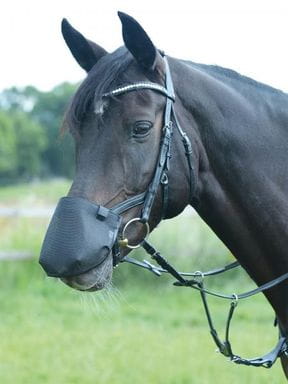 Fliegenfransen & Fliegenhauben