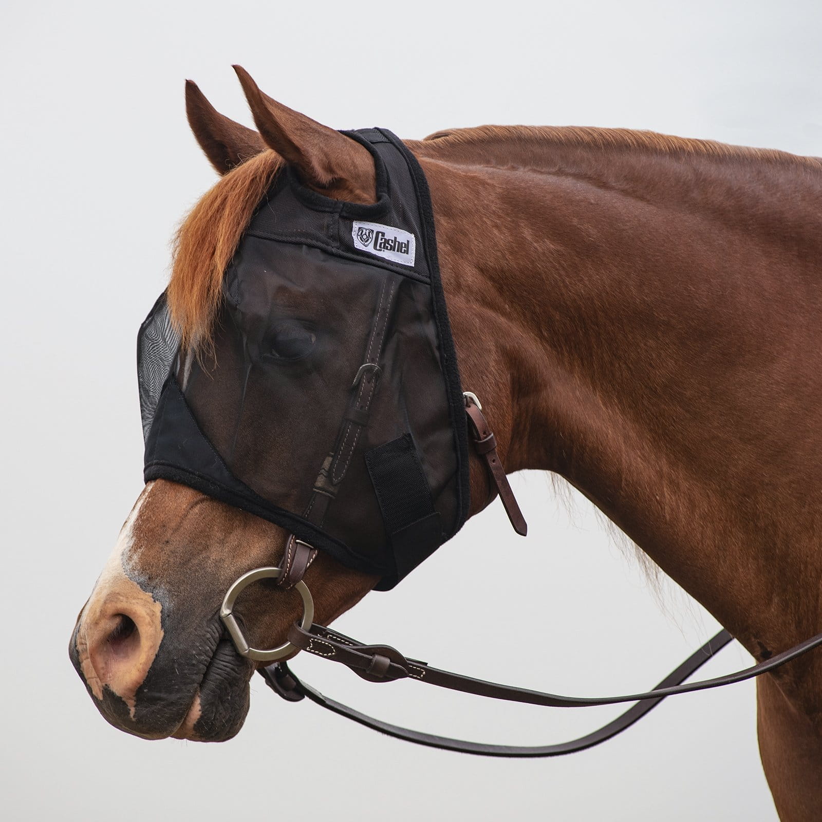 Crusader Cashel Quiet Ride Fly Mask Standard
