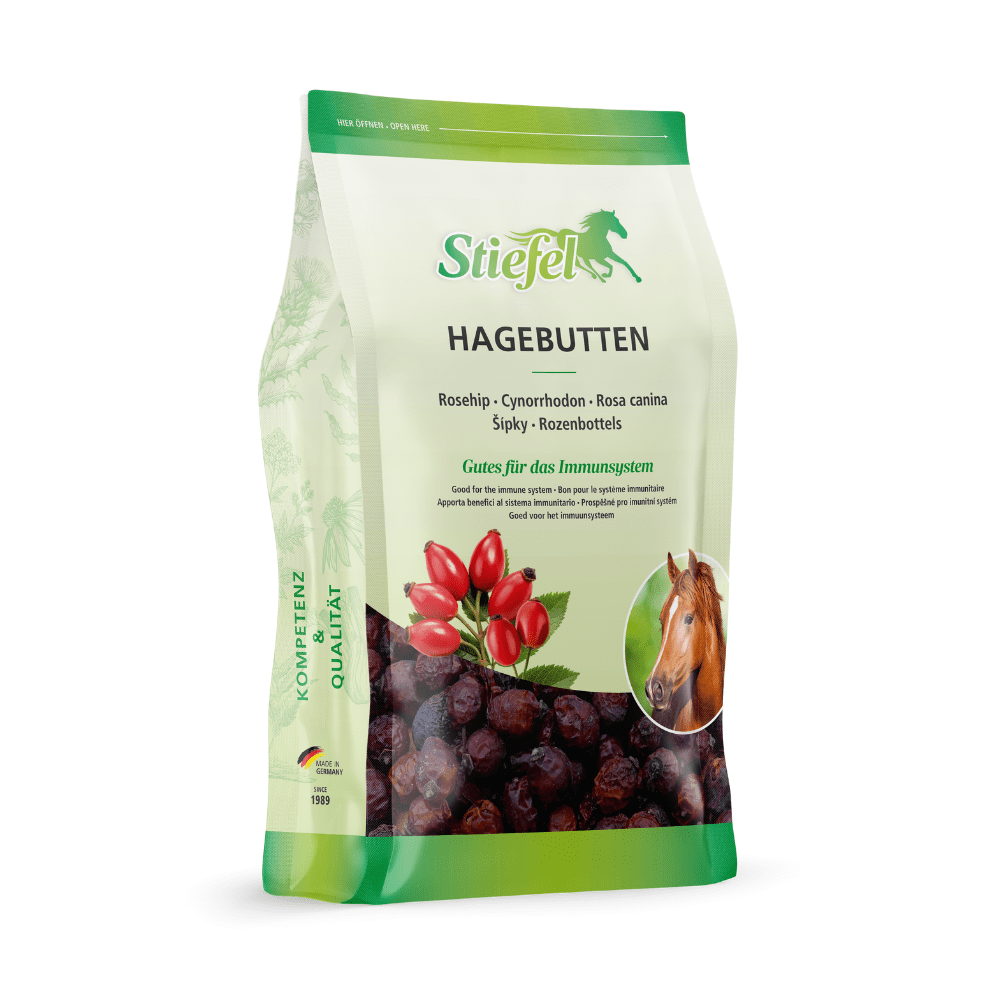 Stiefel Hagebutte Ganze Früchte