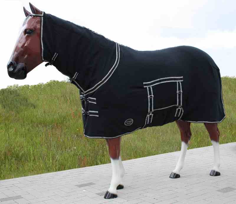 Complete Cooler mit Bauchlatz in schwarz oder navy