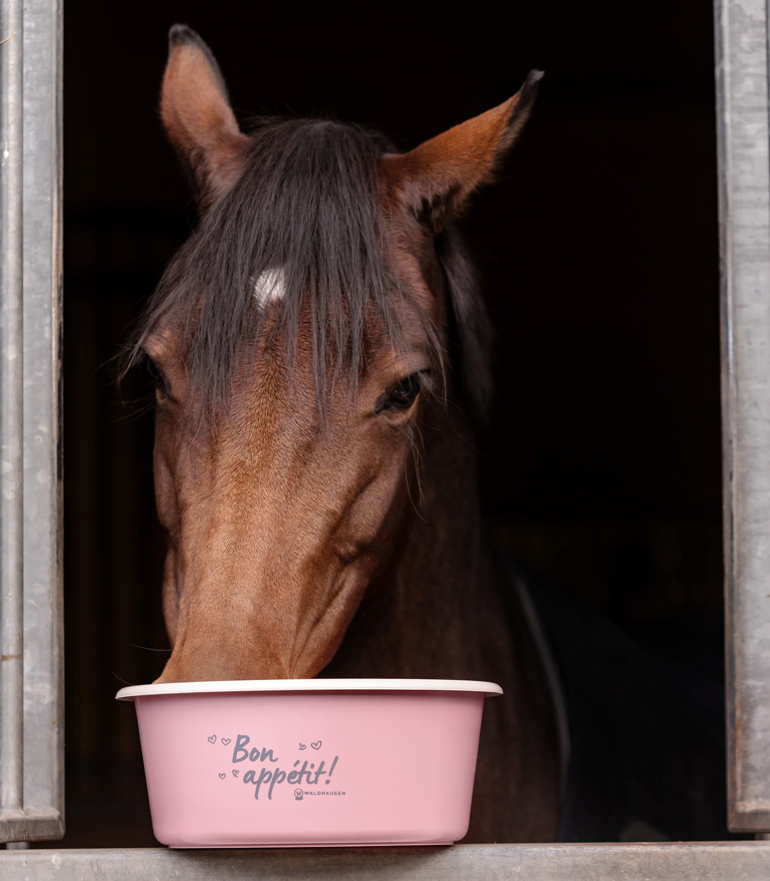 Müsli-Futterschale 5 l mit Deckel