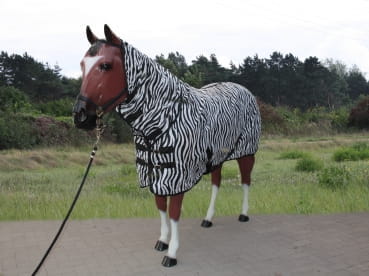 Top Score Zebra Fliegendecke mit Halsteil