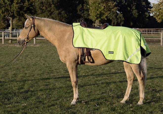 Ausreitdecke Shine 100