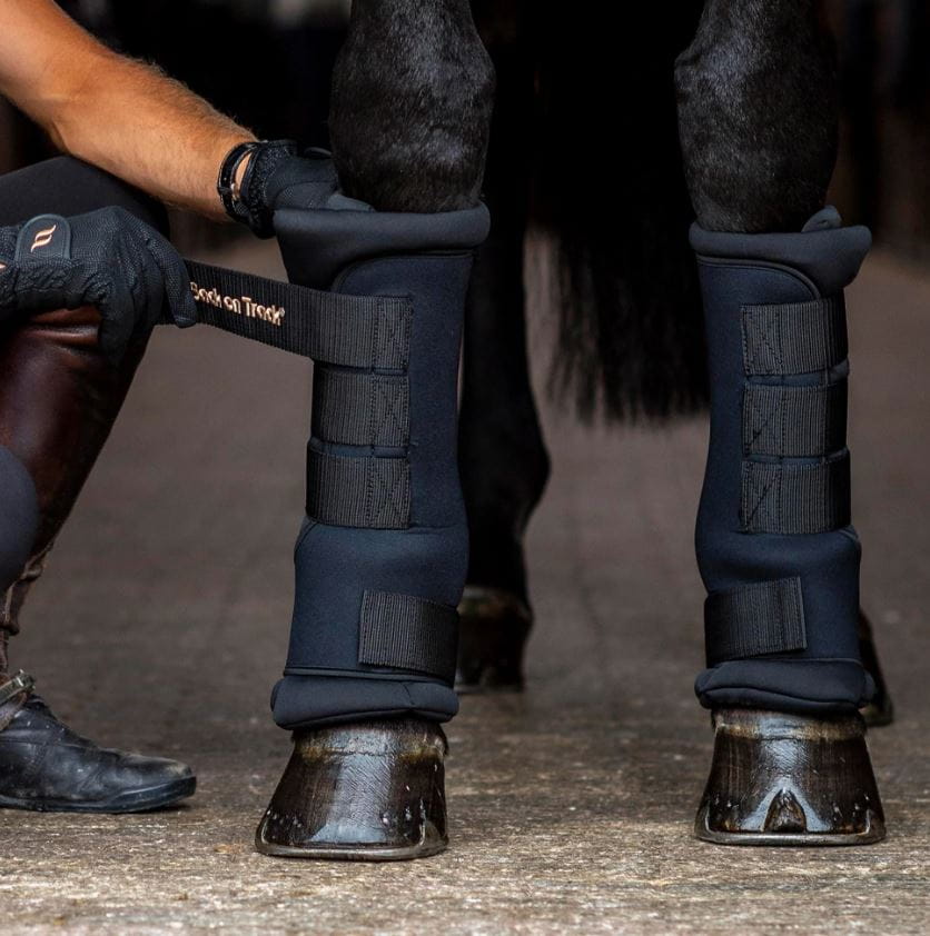 Back on Track Stallgamaschen Royal schwarz