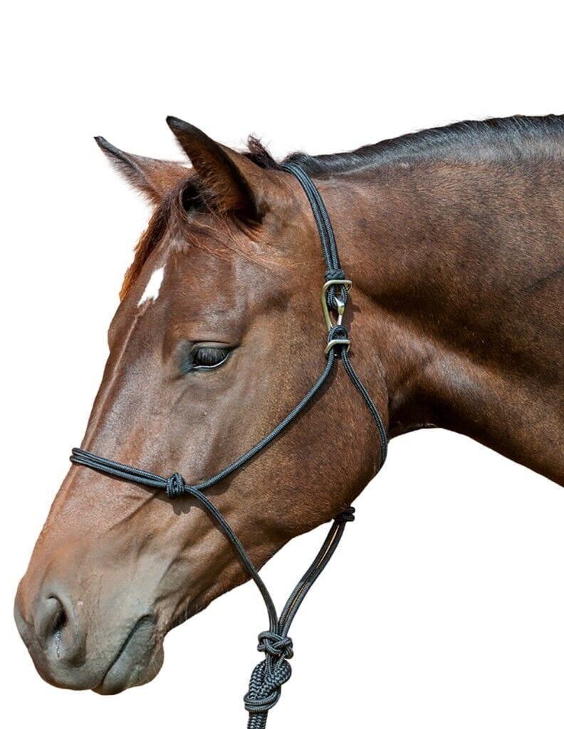 Classic Equine Adjustable Rope Halter and Leadrope black