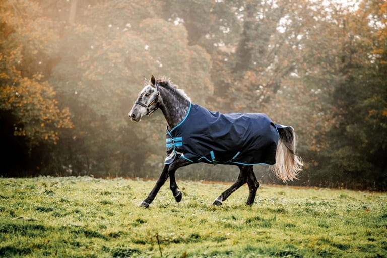 Amigo Bravo 12 Turnout Lite 50g