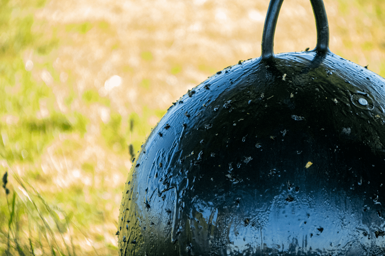 Sticky Trap Ball Bremsenfalle