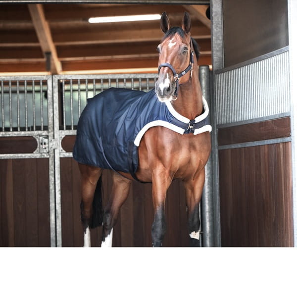 Führanlagendecke TRAINER 50