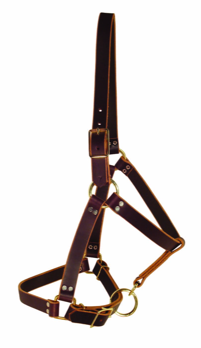 Ultimate Cowboy Gear Latigo Lederhalfter Horse