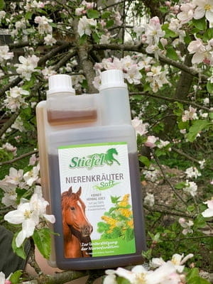 Stiefel Nierenkräutersaft 1 l