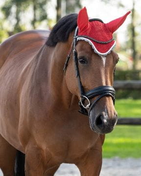 Fliegenfransen & Fliegenhauben