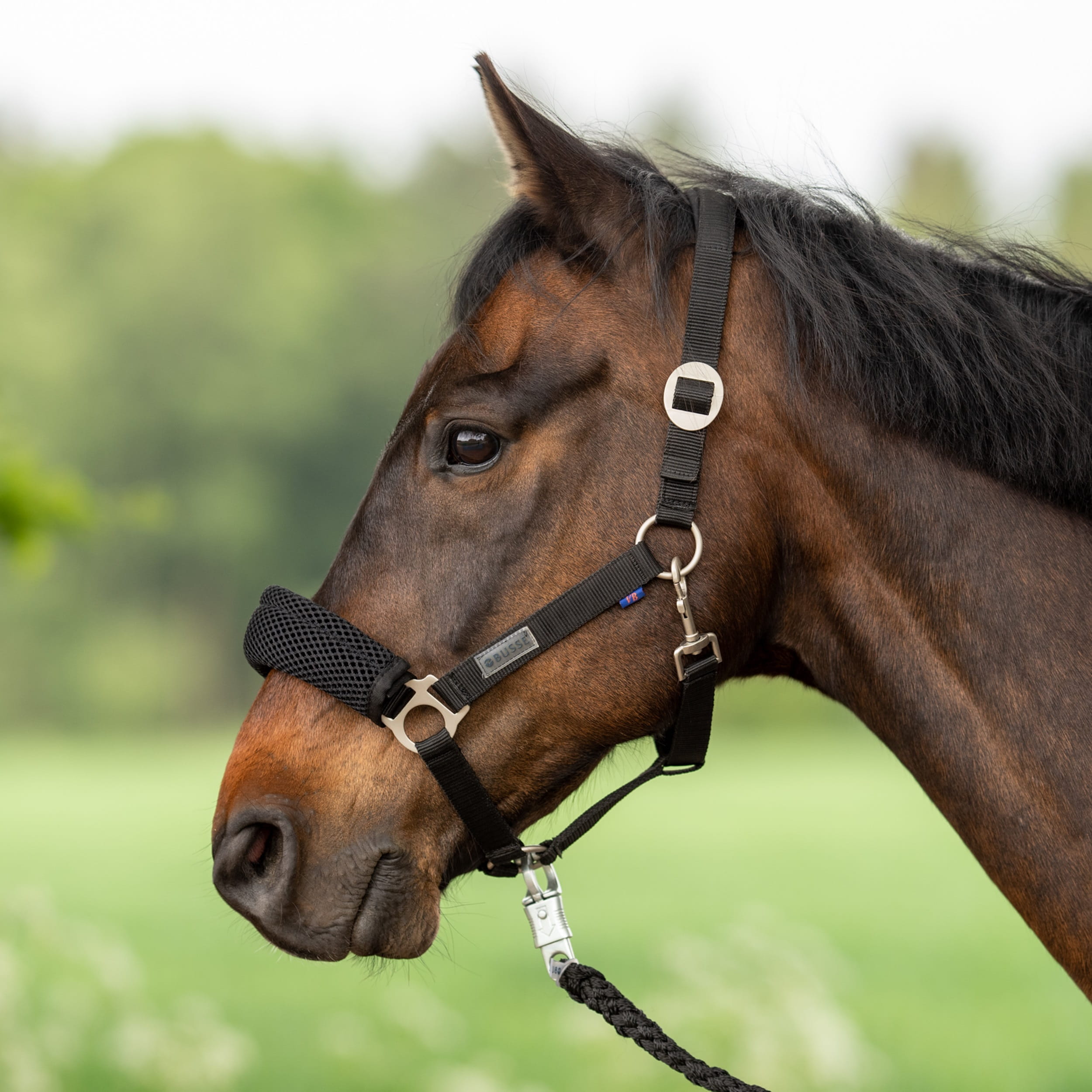 Nasen- und Genickschoner 3D Air