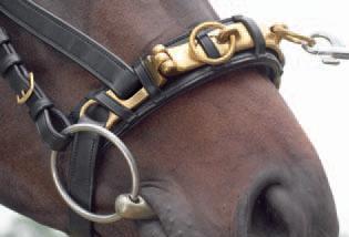 Kappzaum Professional Solibel